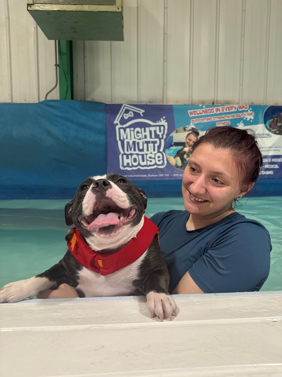 A smiling member of staff in the pool with a happy dog in a red life jacket